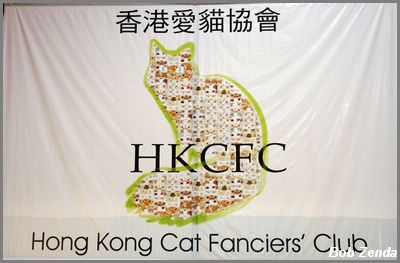 HKCFC Show 1